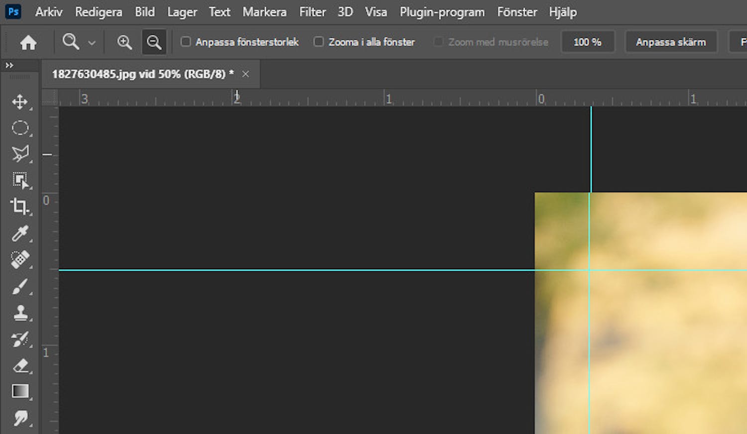 Stödlinjer i Photoshop